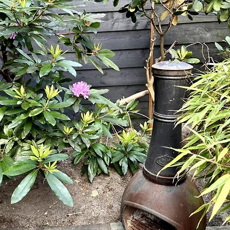 Wonderful With Beautiful Garden And Kitchen * Den Haag
